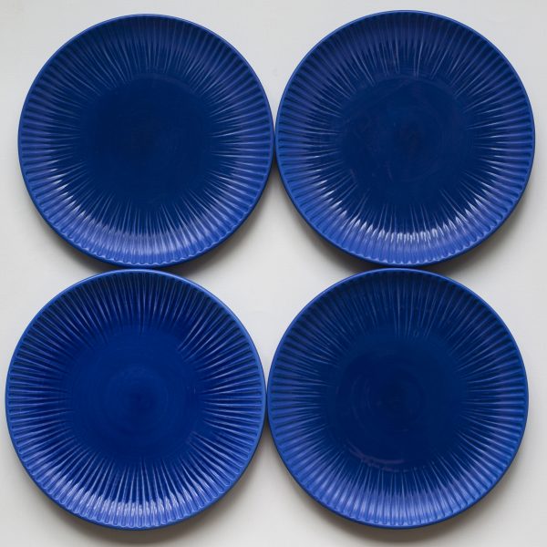 Набор из 4 синих тарелок "Seafruit", 26 см