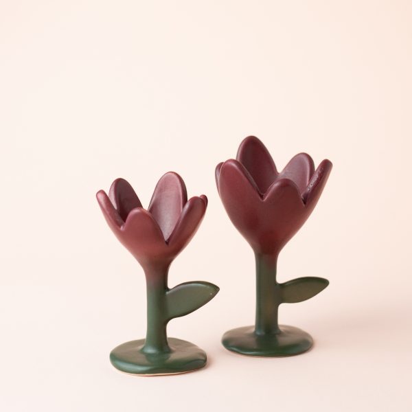 Пашотница “Тюльпан”