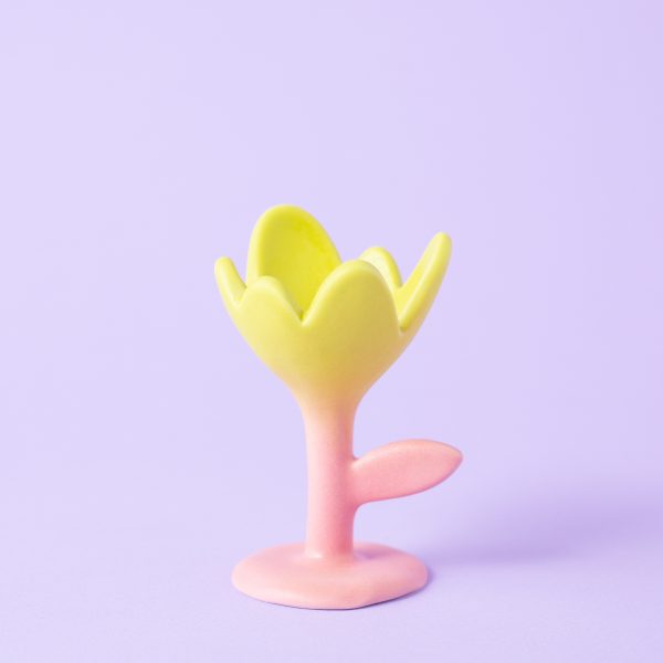 Пашотница "Нарцисс"