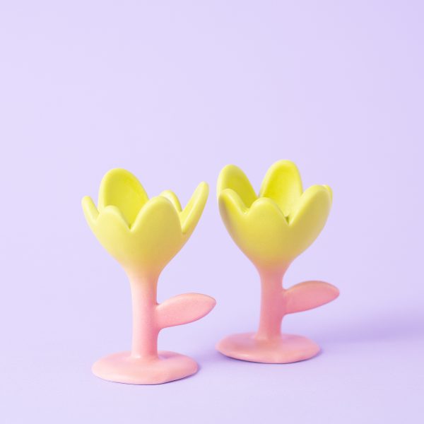 Пашотница “Нарцисс”