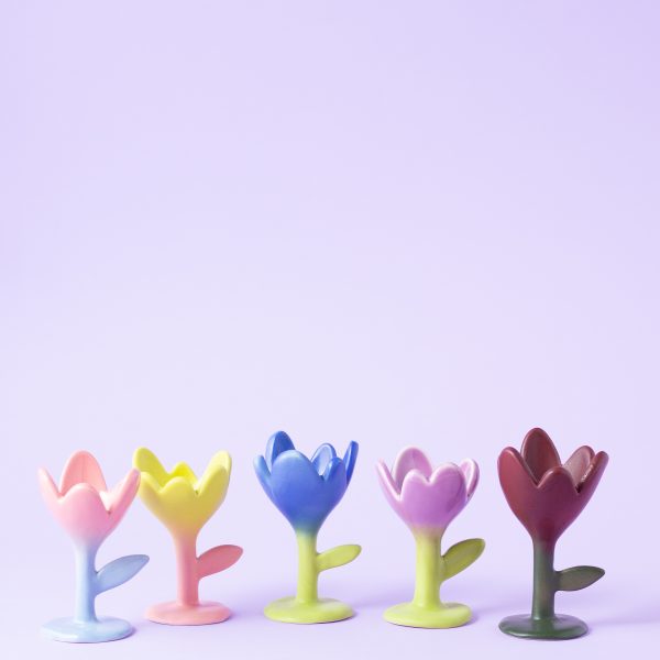 Пашотница “Нарцисс”